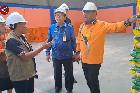 Sidak pasokan, Pemprov Papua pastikan stok pangan aman jelang Lebaran