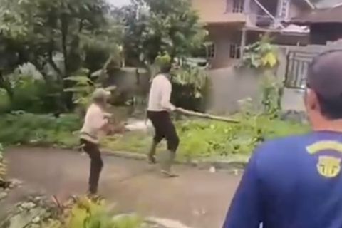 BKSDA Sumbar tangani beruang yang serang warga Pasaman Barat