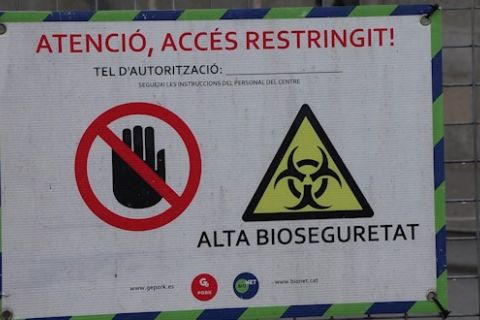 Kasus flu babi pada manusia terdeteksi di Catalonia, Spanyol