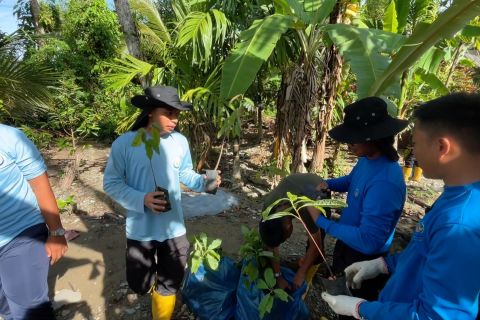 Taruna KKP tanam bibit buah di daerah terdampak bencana Kabupaten Agam