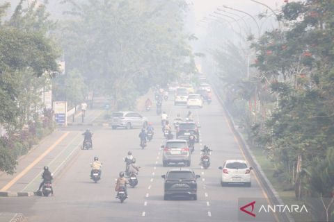 Kalimantan Barat darurat kabut asap karhutla