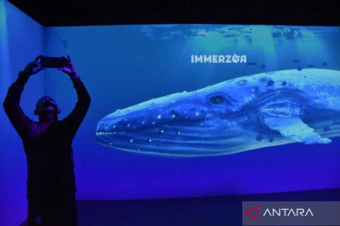 Teknologi digital Immerzoa Museum Zoologi beri sensasi pengunjung seolah masuk ke dunia satwa liar
