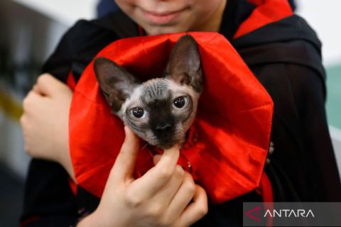 Melihat kegemasan hewan peliharaan dalam PetExpo di Rumania