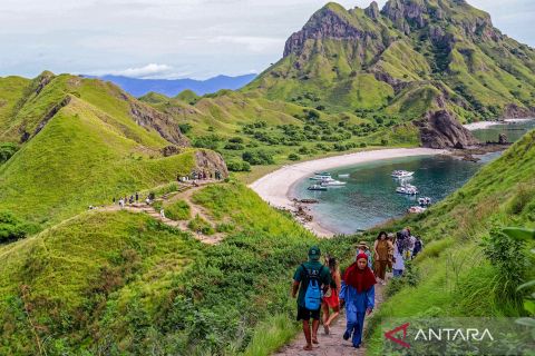 Lonjakan wisata di Taman Nasional Komodo! ratusan kapal antar ribuan wisatawan ke Pulau Padar