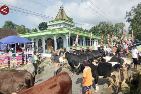 Melihat tradisi Lebaran Sapi di Boyolali