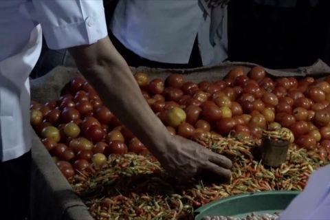 Gubernur Sultra temukan tujuh komoditas pangan dijual di atas HET
