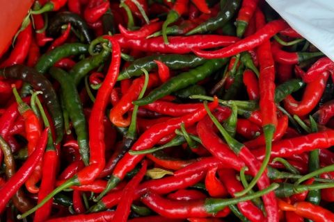 Harga cabai naik, Pemprov Sulsel gelar gerakan pangan murah