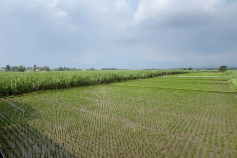 Menteri Hanif Faisol tinjau lokasi PSEL di lahan seluas 6,3 hektare