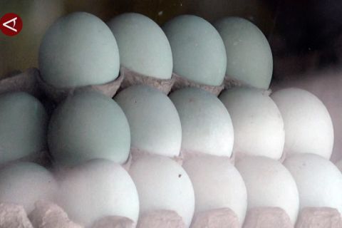 Nasib pedagang telur asin Brebes di persimpangan Tol Trans Jawa