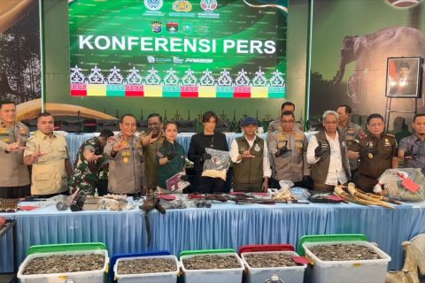 Polda Riau bongkar sindikat perburuan satwa antar-provinsi