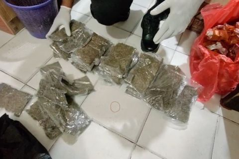 Polisi gagalkan penyelundupan 6 kg ganja asal PNG