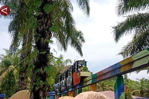 Sensasi menjajal wahana bermain di tengah kebun sawit