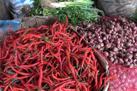 Harga cabai makin pedas, pemerintah siapkan instrumen ekonomi