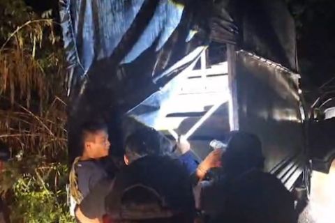 Tim gabungan tangkap jaringan perdagangan tapir di Pasaman Sumbar