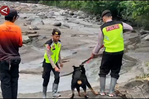 SAR terjunkan anjing pelacak dan drone cari korban lahar hujan Merapi