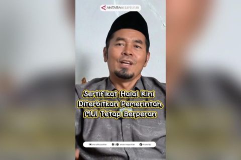 Sertifikat halal kini diterbitkan pemerintah, MUI tetap berperan