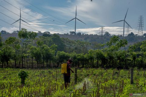 Pemerintah akan tambah kapasitas PLTB hingga 7.187,5 MW