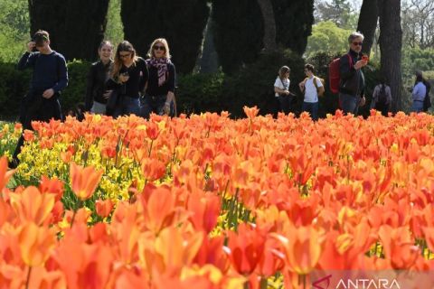 Menikmati bunga-bunga yang bermekaran di Taman  Valeggio sul Mincio Verona