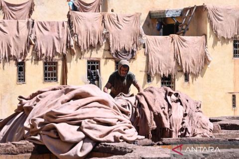 Mengintip tempat penyamakan kulit tradisional di Maroko