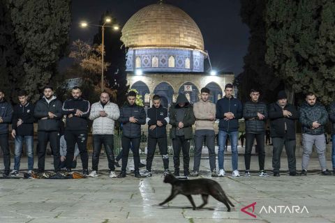 Masjid Al-Aqsa dibuka kembali untuk ibadah setelah 41 hari ditutup