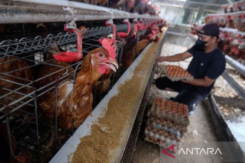 IHPB Maret 2026 naik 0,63 persen