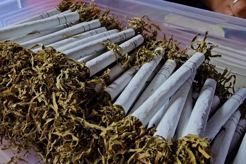 Aceh Tengah olah tembakau Gayo untuk bangkitkan ekonomi usai bencana