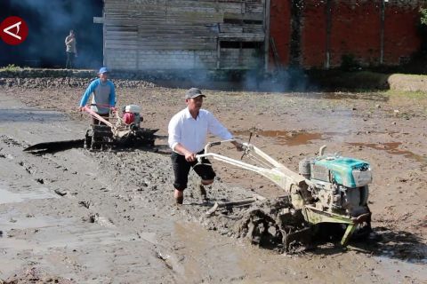 70 persen lahan terdampak bencana di Sumbar rampung dipulihkan