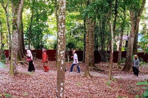 Hutan mahoni Kutai Kartanegara jadi pelarian warga kota melepas penat