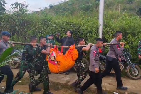 KNKT mulai selidiki jatuhnya helikopter PK-CFX di Sekadau