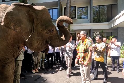 Komisi VII DPR sebut Taman Safari layak ditiru destinasi wisata lain