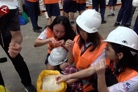 Bulog Papua beri edukasi ketahanan pangan ke para pelajar