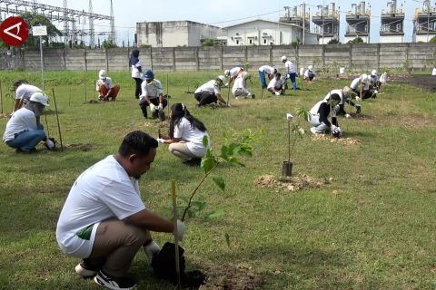 PLN Holtekamp tanam 220 pohon untuk peringati Hari Bumi 2026