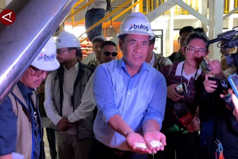 Stok beras melimpah, Mentan dorong hilirisasi produk turunan