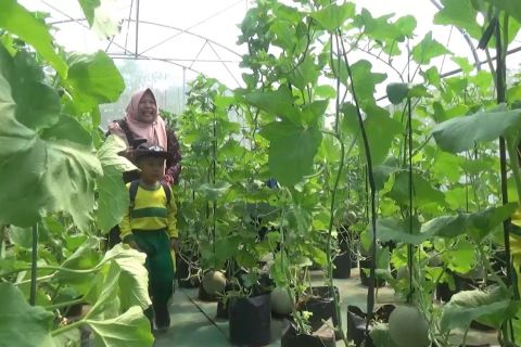 Kalurahan Ngalang manfaatkan danais untuk pemberdayaan ekonomi warga