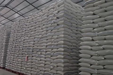 Produksi meningkat, cadangan beras pemerintah tembus 4,91 juta ton