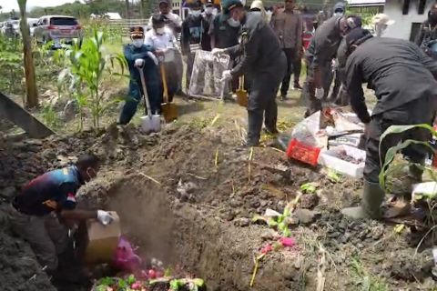 Karantina Papua musnahkan 4,19 ton pangan rusak