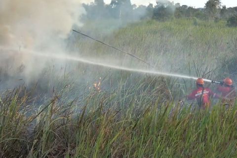 Sumsel tetapkan siaga karhutla, waspada hadapi kemarau kering 2026