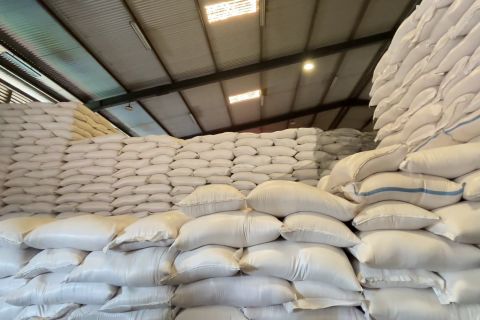 Bulog Sulselbar siapkan 11 titik gudang baru perkuat cadangan pangan