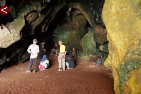 Kaltim gali potensi Karst Mangkalihat untuk geopark nasional