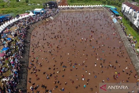 Melihat keseruan tradisi Ngubek Empang di Depok