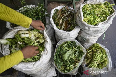 Melihat pengolahan sampah organik di Pasar Kramat Jati, begini prosesnya