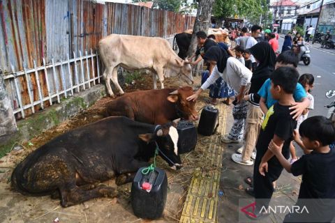 Pemprov DKI larang penjualan hewan kurban di atas trotoar