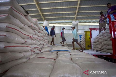 Bulog tambah kapasitas gudang hingga tujuh ton