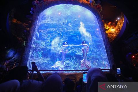 Akuarium raksasa BXSea Bintaro jadi primadona libur panjang Idul Adha 2026