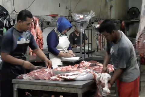 Agar kurban di Semarang lebih ramah lingkungan