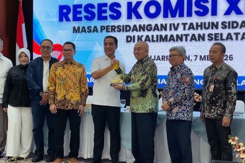 Komisi XI desak Kalsel percepat hilirisasi industri untuk dongkrak PAD