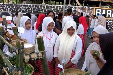 Melestarikan pengobatan herbal di Wakatobi lewat Festival Tanaman Obat