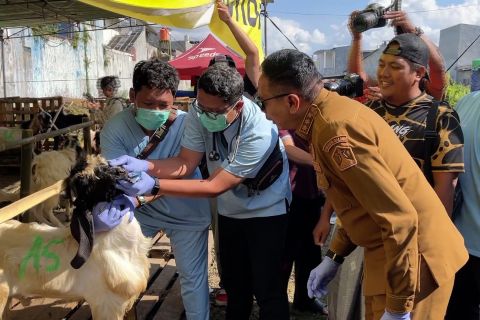 Pemkot Malang terjunkan 400 petugas periksa hewan kurban