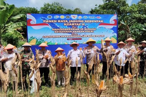 Polda Kaltara fokus benahi infrastruktur jaga stok jagung perbatasan