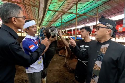 Terbitkan regulasi, Pemkot Bogor atur lapak penjual hewan kurban